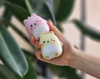 جا قرصی خرسی